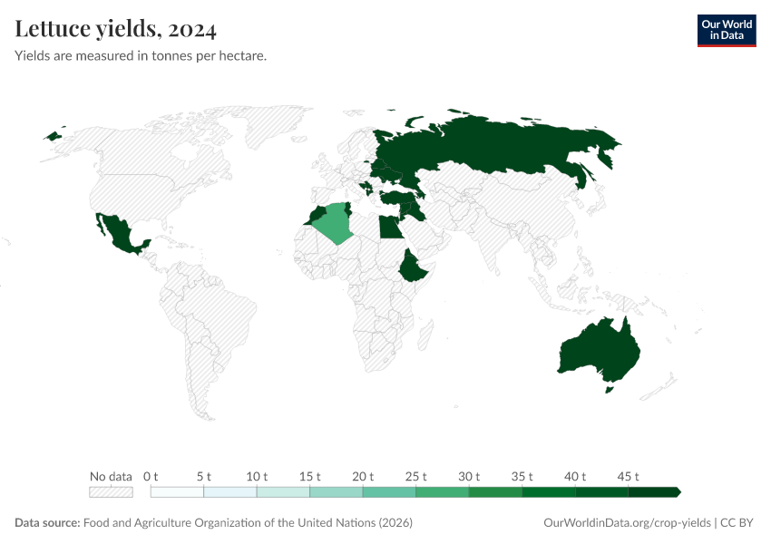 A thumbnail of the "Lettuce yields" chart